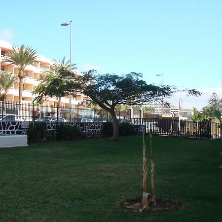 Los Cactus Playa del Inglés Extérieur photo