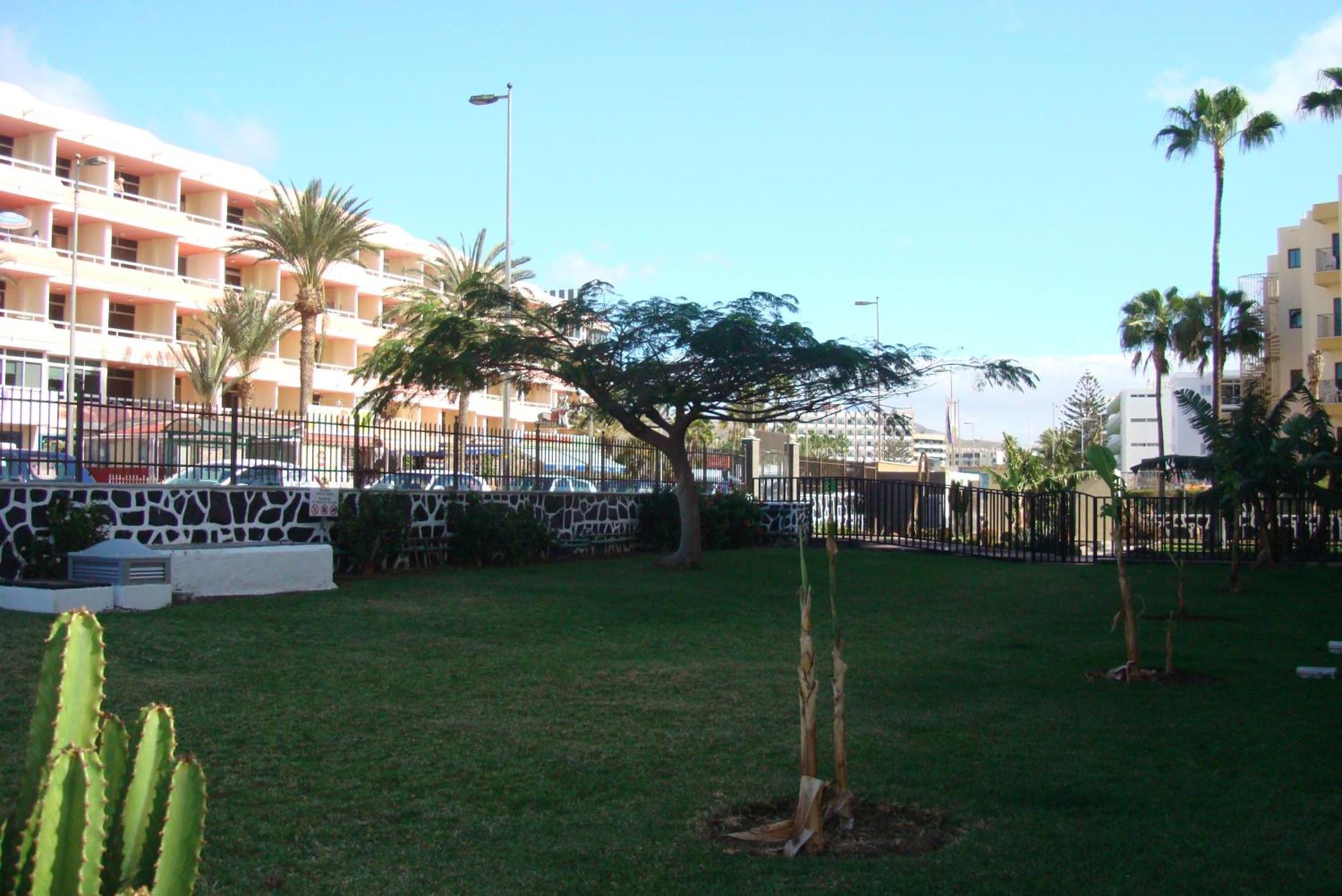 Los Cactus Playa del Inglés Extérieur photo